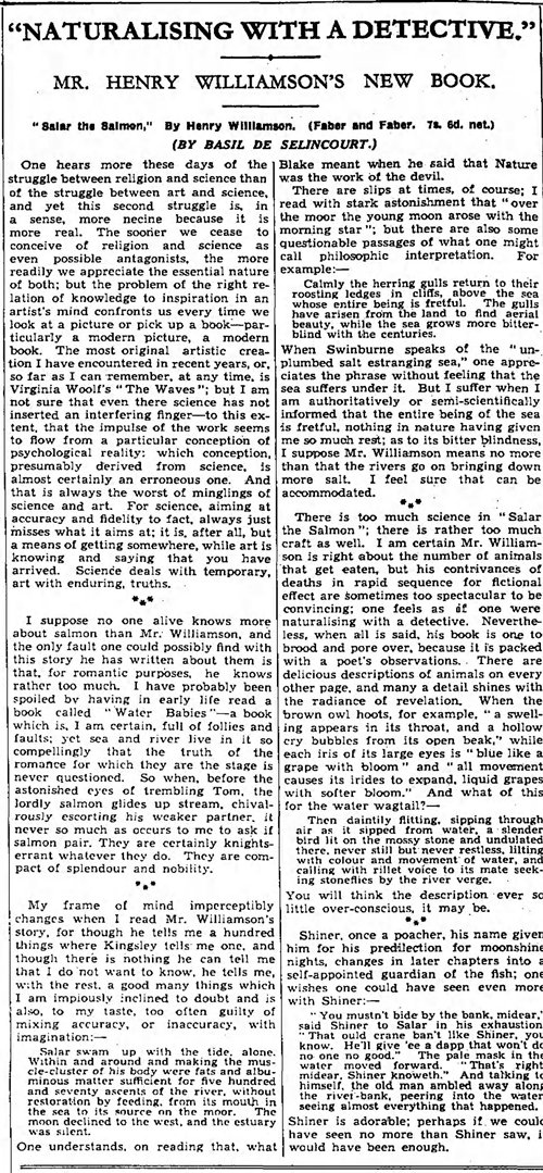 salar observer 10.11.35