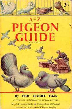 scandoon 23A A Z Pigeon guide