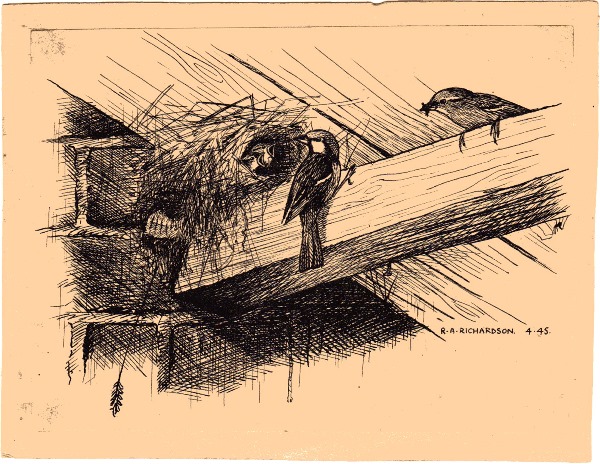 RAR 14 xmas sketch 1945