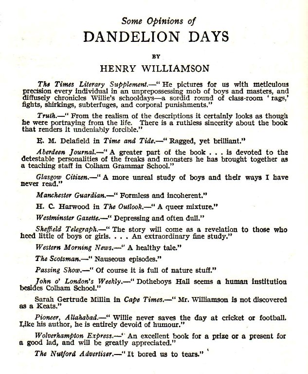 dandelion days reviews2