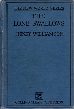 lone swallows 24a front