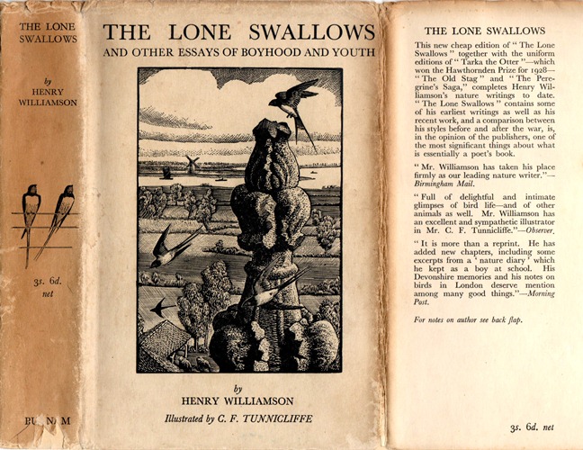 lone swallows 33 dw