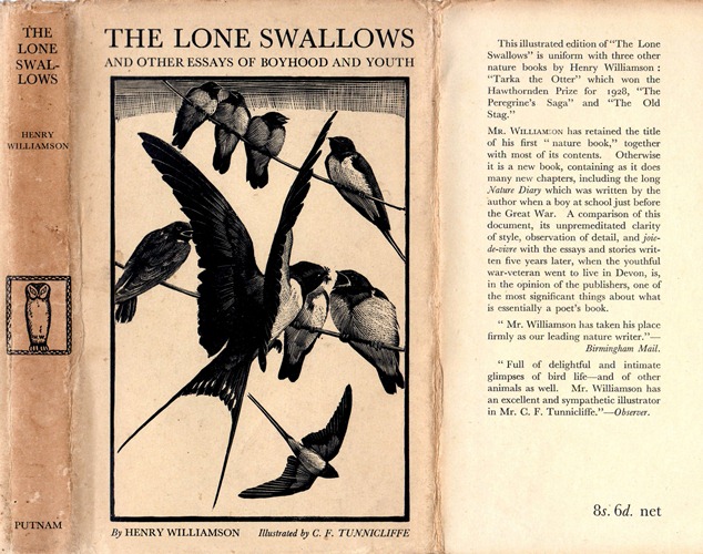 lone swallows 46 dw