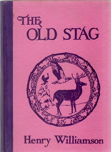 old stag US