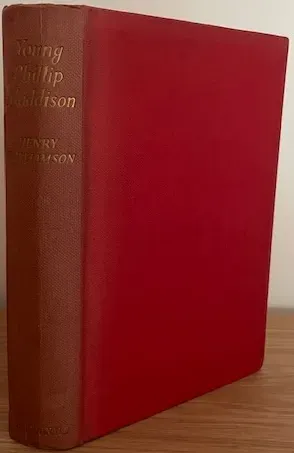 Young Phillip Maddison