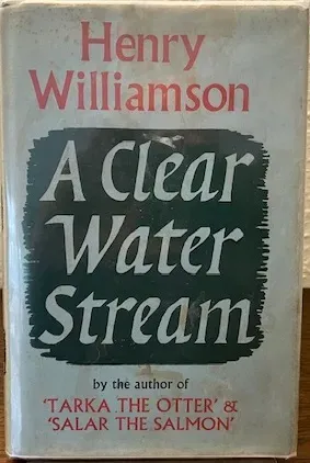 A Clear Water Stream