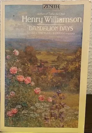 Dandelion Days