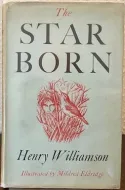 The Star-born