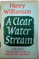 A Clear Water Stream