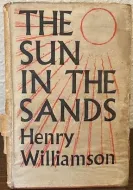 The Sun in the Sands
